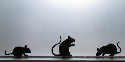 Post-it® Note Spooky Mice